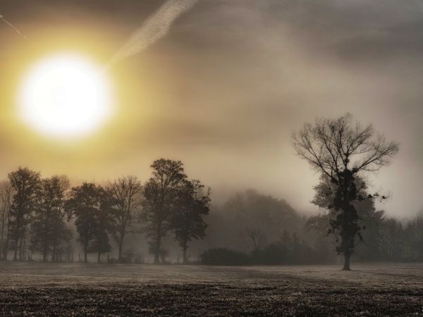 Paysage d'hiver avec beau soleil rasant